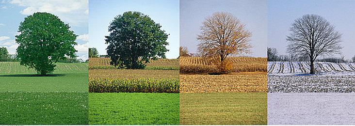 神话冒险《The Tale of Bistun》7月13日发售 试玩版已上线