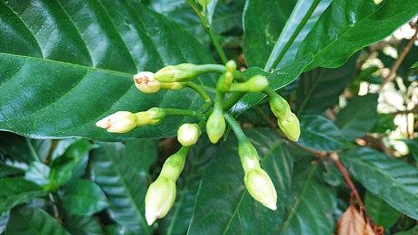 《神领编年史》游戏玩法解说预告 9月22日发售